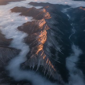 Dron ko'rinishi